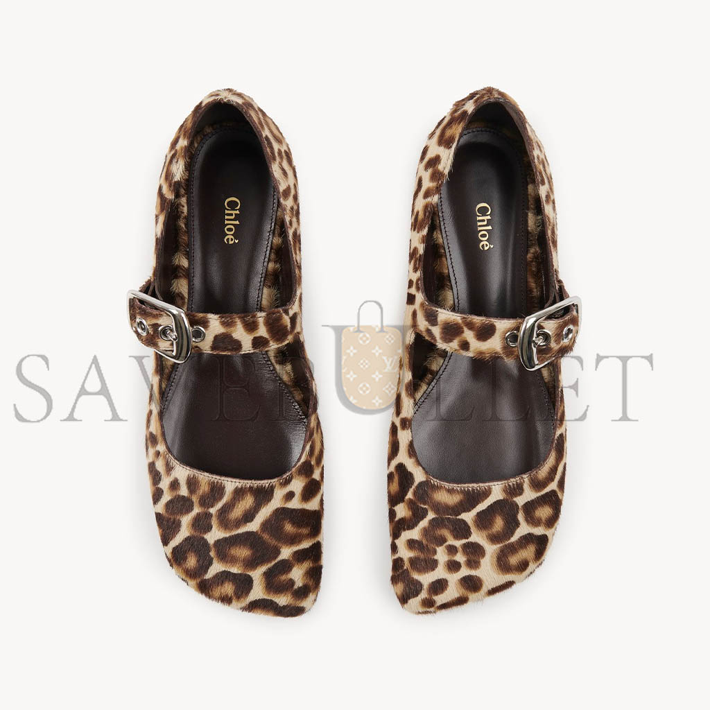 Ch10e polly ballerina chc24w07boq220